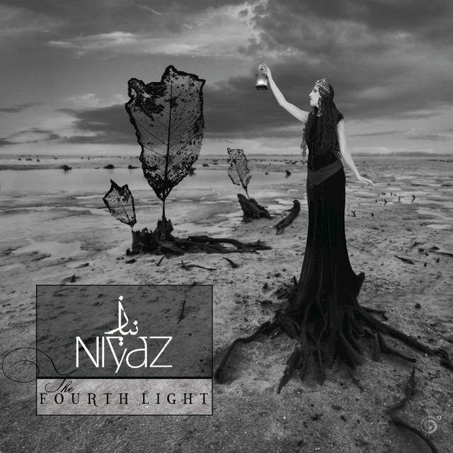 The Fourth Light cover art