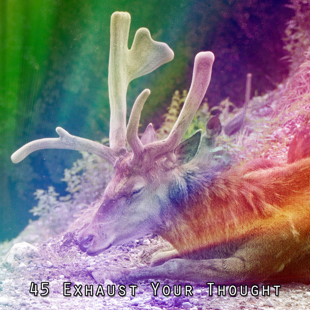 45 Exhaust Your Thought cover art