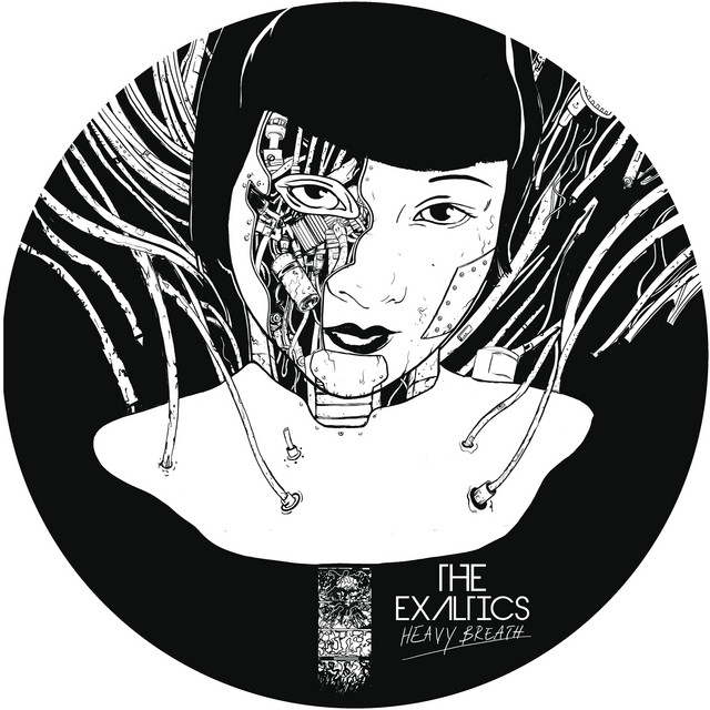 The Rise and Fall cover art