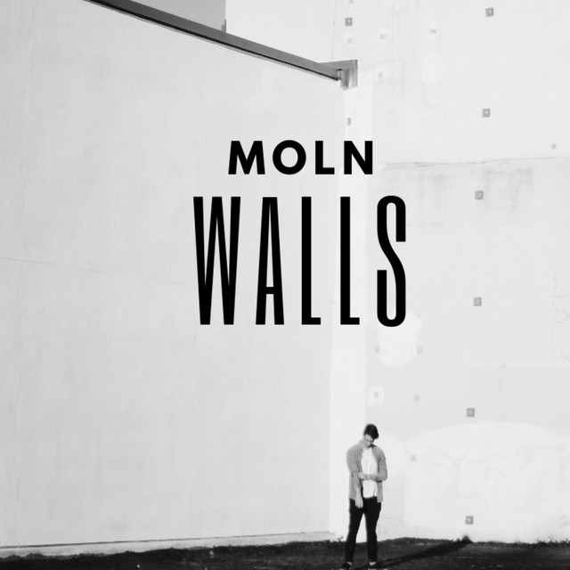 Walls cover art