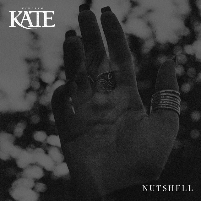 Nutshell (Acoustic) cover