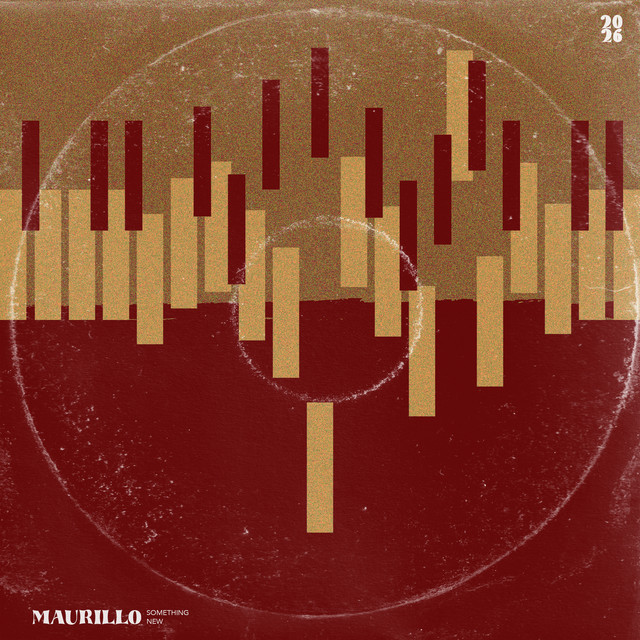 Something New album image
