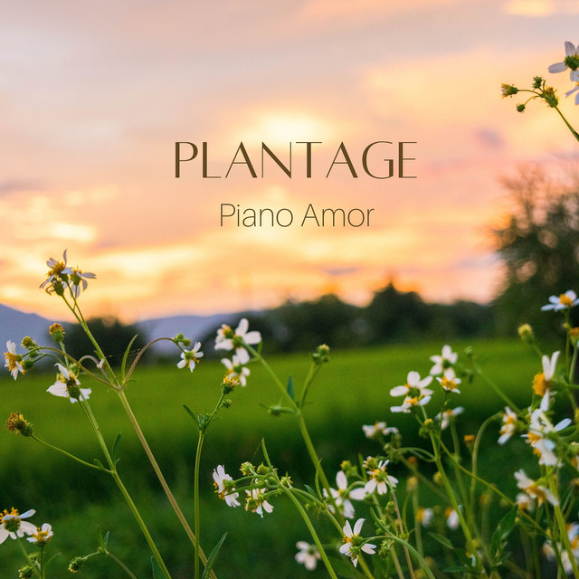 Обкладинка: Plantage — Piano Amor