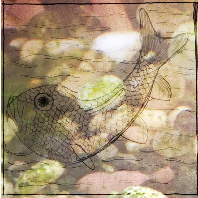 In the Water cover art