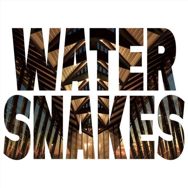 Water Snakes cover