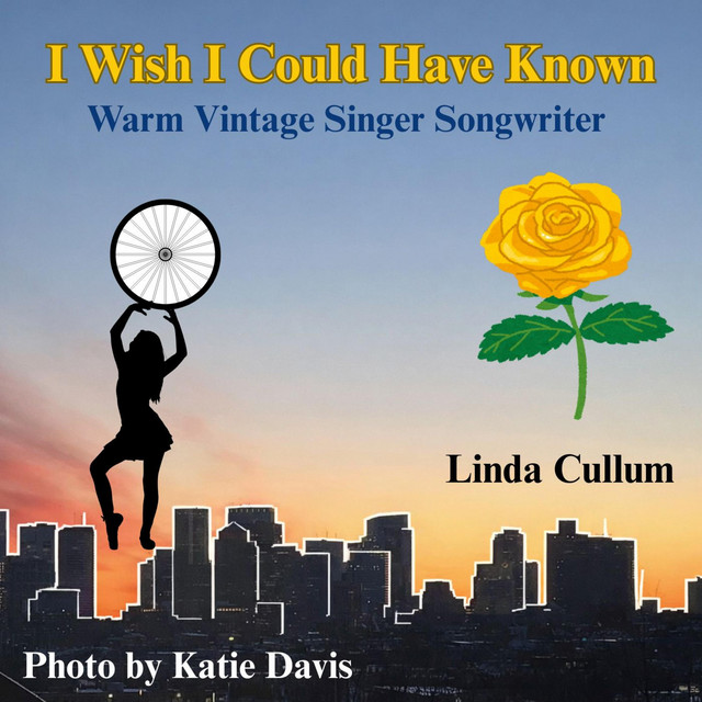I Wish I Could Have Known cover