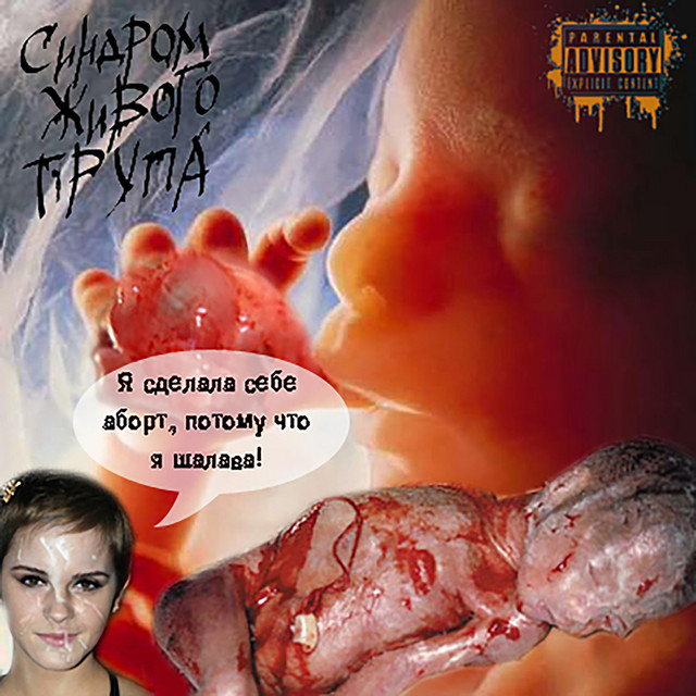 Я сделала себе аборт, потому что я шалава! cover art