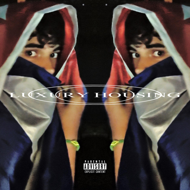 Luxury Housing cover art
