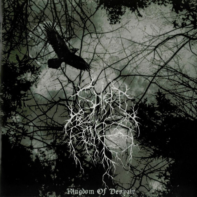 Spirit of the Forest Photo