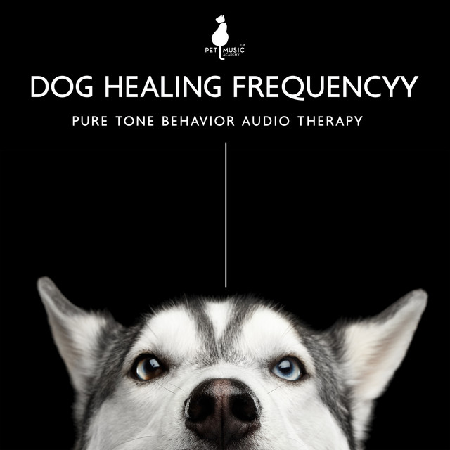 Dog Healing Frequency: Pure Tone Behavior Audio Therapy, Sound & Geometric Healing, Release Separation, Reiki Healing Dogs and Cats with Sound Frequencies, Sound Healing Pet Therapy cover art