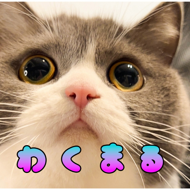 Обкладинка: わくまる — Maru