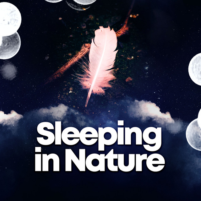 Sleeping in Nature ! ! ! ! - Album by Sleep Sounds Of Nature | Spotify