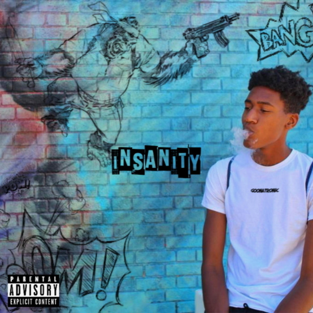 Insanity cover art