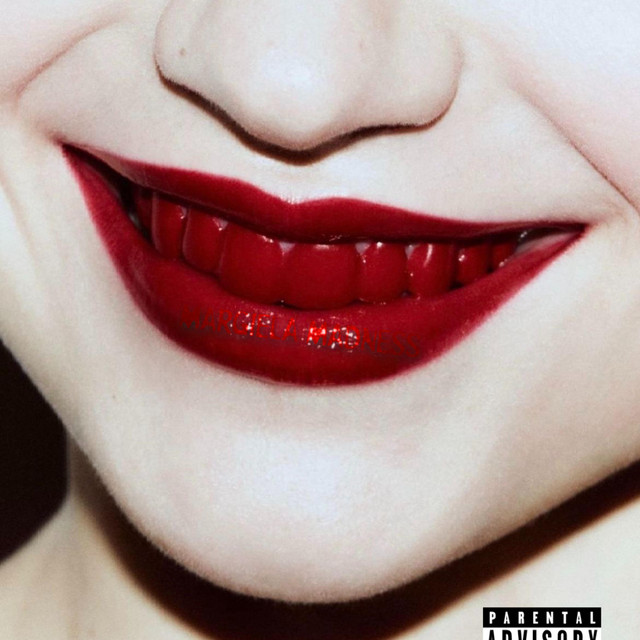 MARGIELA MADNESS cover art
