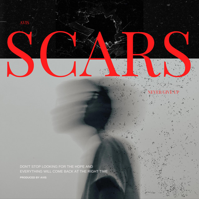 Scars cover art