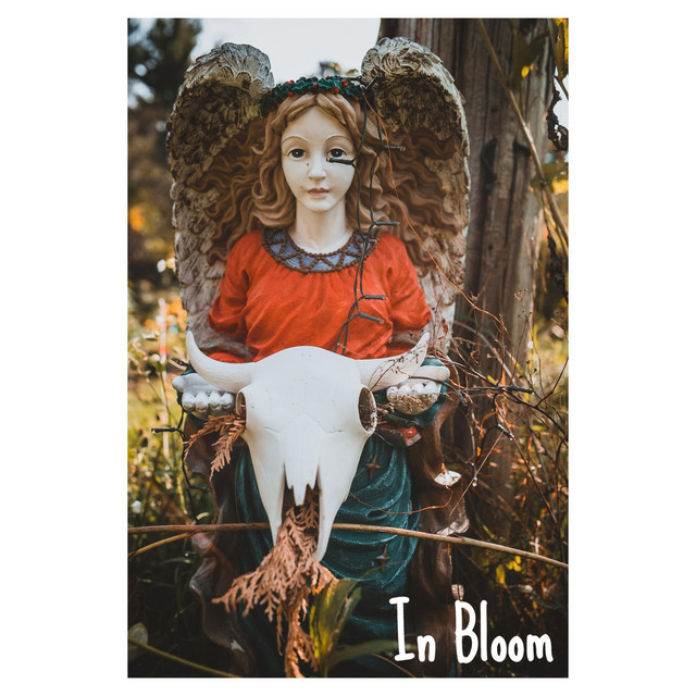 In Bloom cover art