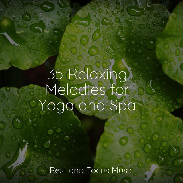 35 Relaxing Melodies for Yoga and Spa - Album by Relaxation Music Guru ...