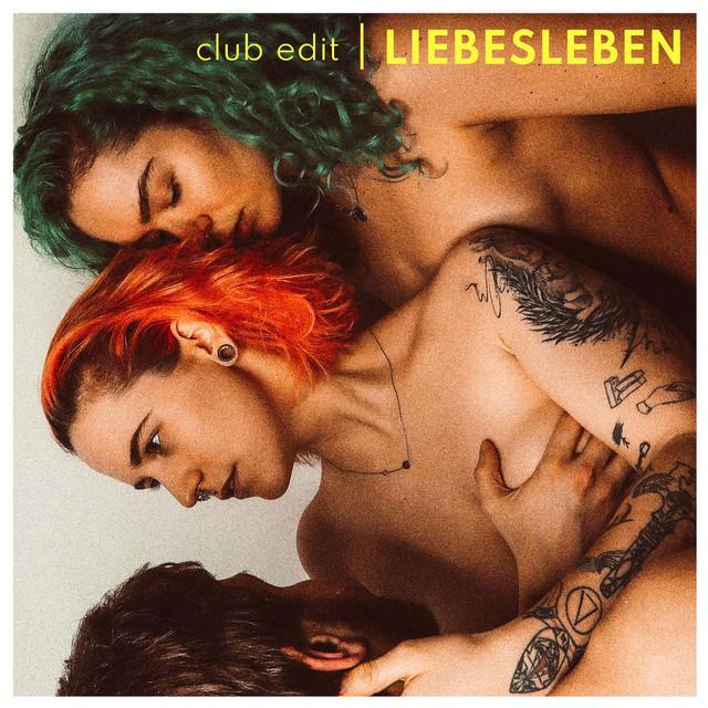 Liebesleben (Club Edit) cover