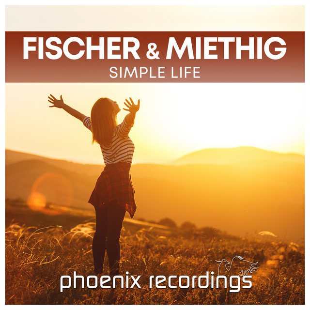 Simple Life - Extended Mix album art