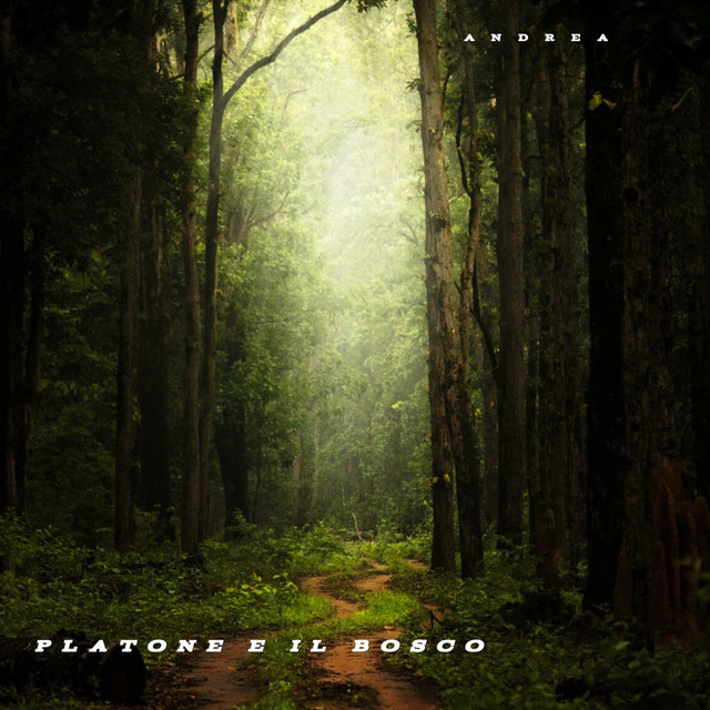 Platone e il bosco