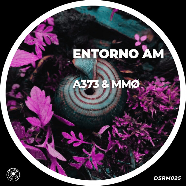 Entorno Am cover art