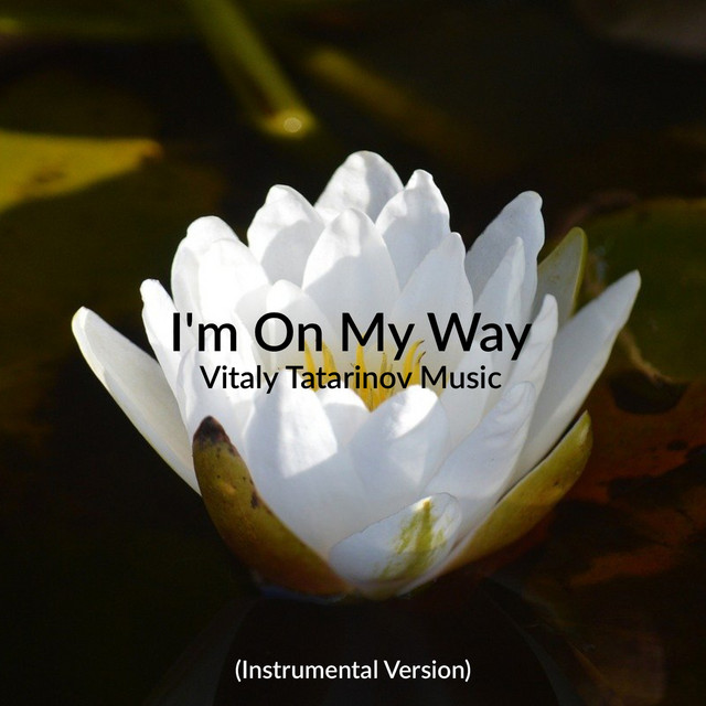 Обкладинка: I'm on My Way - Instrumental Version — Vitaly Tatarinov