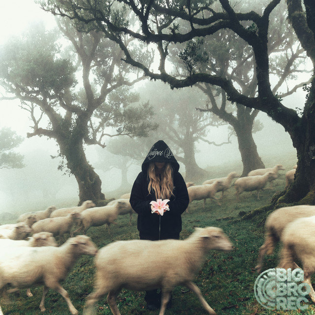 Флористика cover art