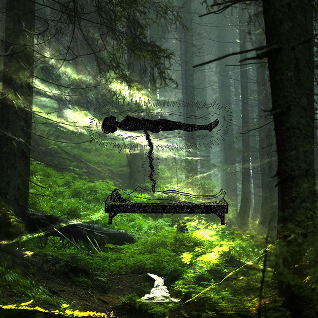 wuw (wake up wizard) cover art