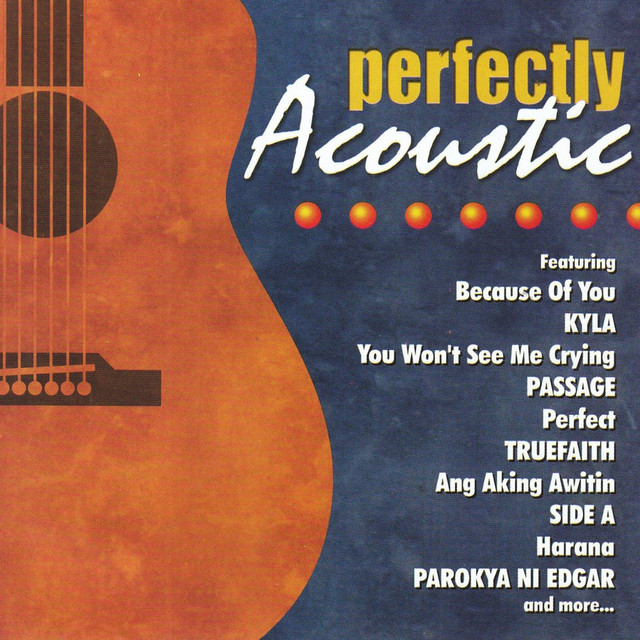 Perfectly Acoustic cover