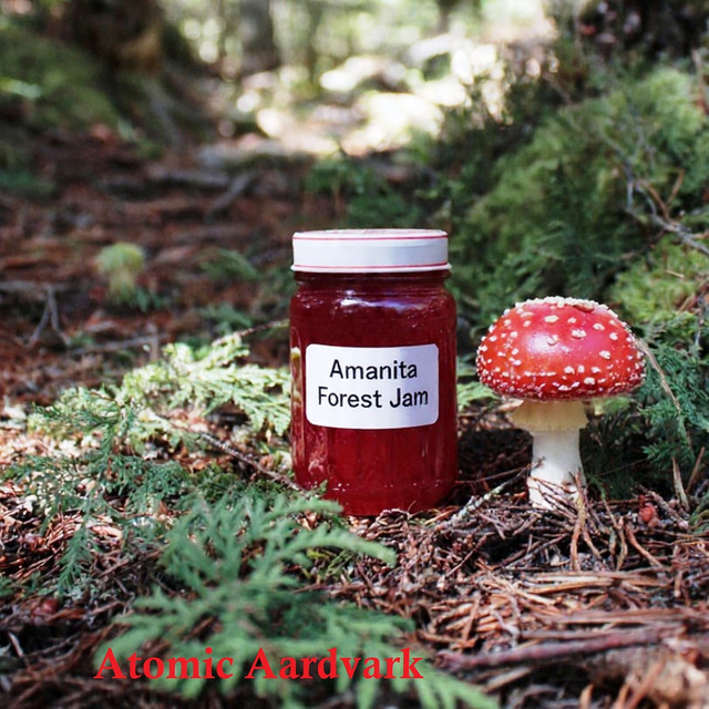 Atomic Aardvark – Amanita Forest Jam