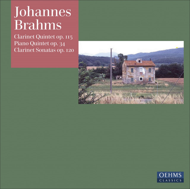Clarinet Sonata in E-Flat Major, Op. 120, No. 2: I. Allegro amabile cover art