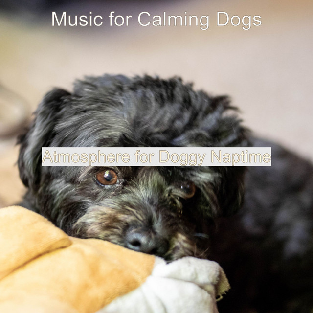 Atmosphere for Doggy Naptime cover art