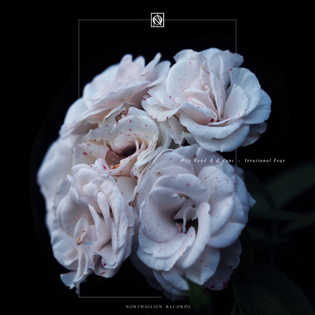 Irrational Fear cover art