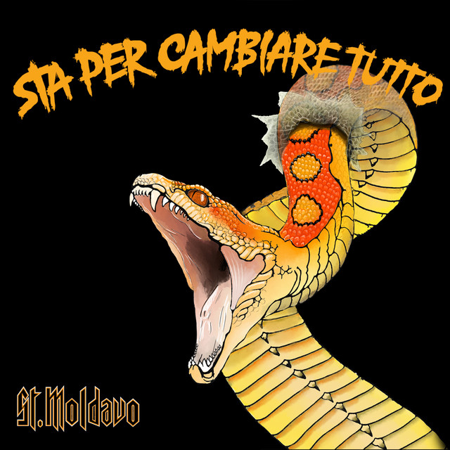 Sta per cambiare tutto cover art