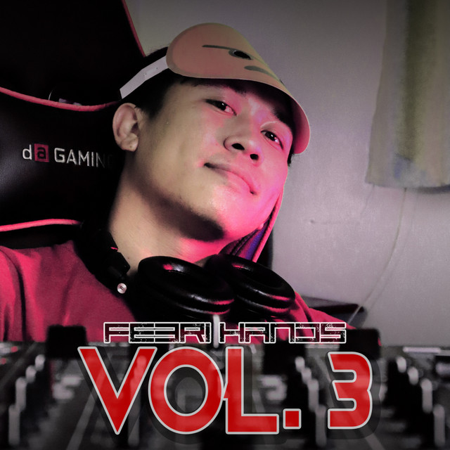 Febri Hands, Vol. 3 cover art