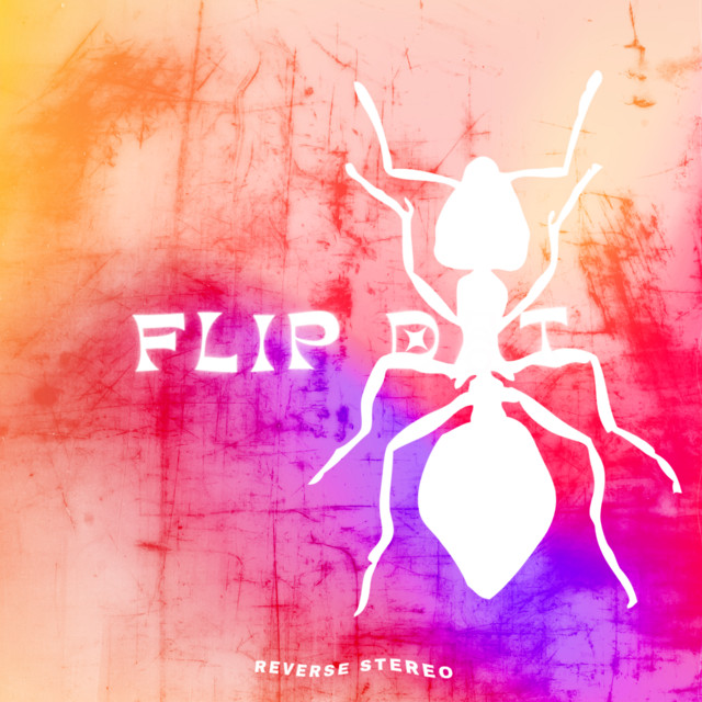 Reverse Stereo – Flip Dat