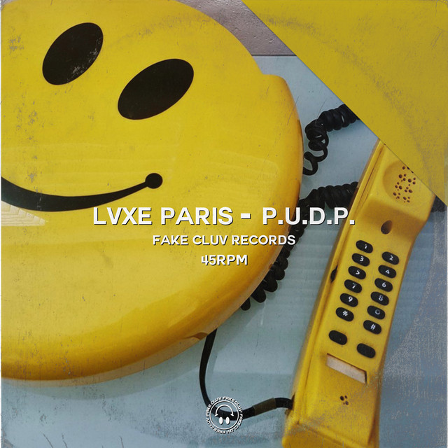 P.U.D.P