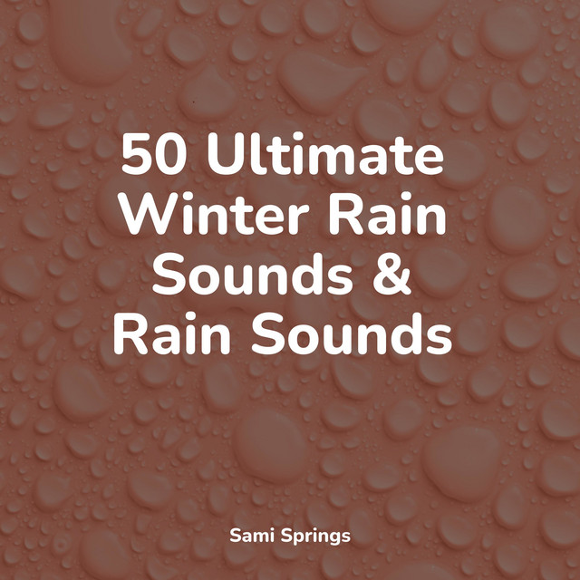 50 Ultimate Winter Rain Sounds & Rain Sounds cover art