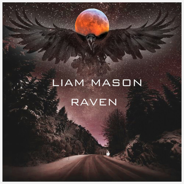 Raven - Single by Liam Mason | Spotify