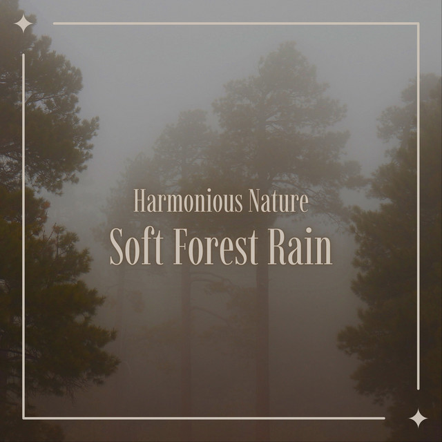 Soft Forest Rain by Harmonious Nature