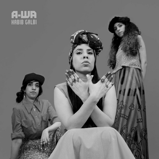 חביב גלבי cover art