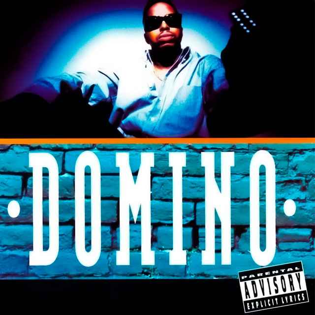 Domino cover art