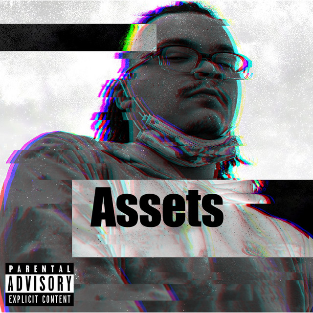 Assets cover art