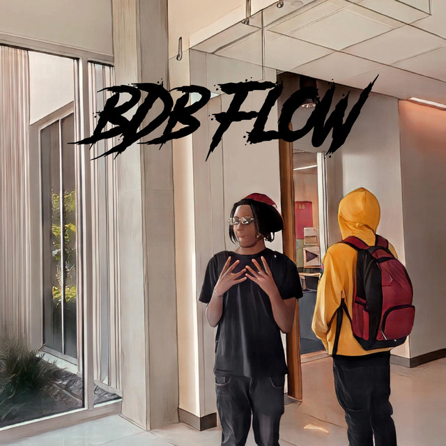 BDB FLOW cover art