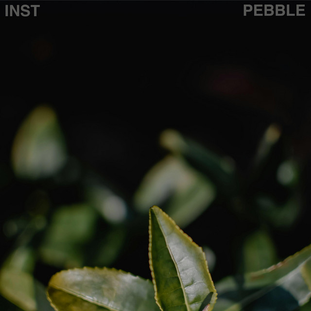 Pebble cover art
