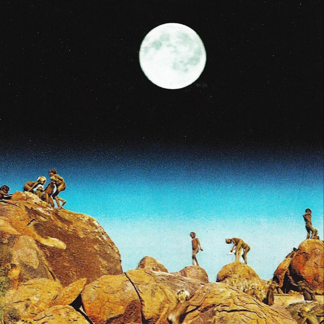 Millennials cover art