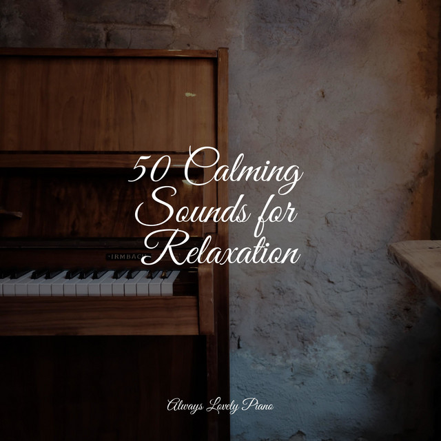 50 Calming Sounds for Relaxation - Album by Piano Time | Spotify
