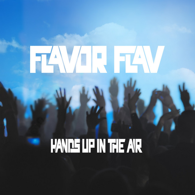 Hands Up in the Air (Radio Edit) album image