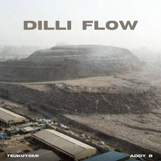 Dilli Flow cover art