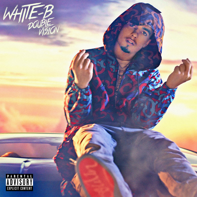 Double vision cover art